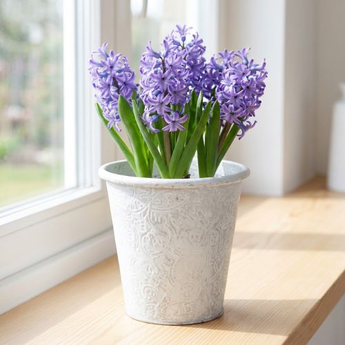 Augalų vazonas su ornamentais, vazonas, metalinis indas, baltas, Ø15,5 cm, aukštis14,5 cm | Floristik24.lt