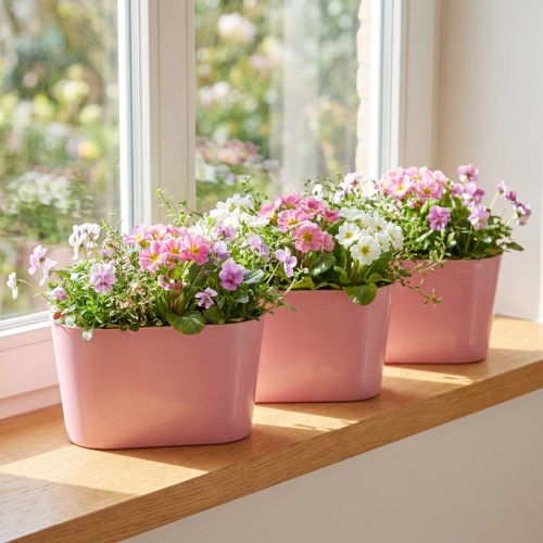Augalų dubuo ovalus rožinis dekoratyvinis dubuo plastikinis 20×10×11cm 3vnt | Floristik24.lt