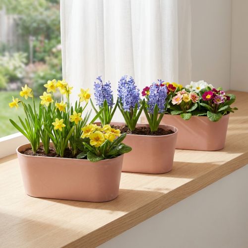 Augalų dubuo ovalus dekoratyvinis dubuo plastikinis rožinis rudas 27×11×10cm 3vnt | Floristik24.lt