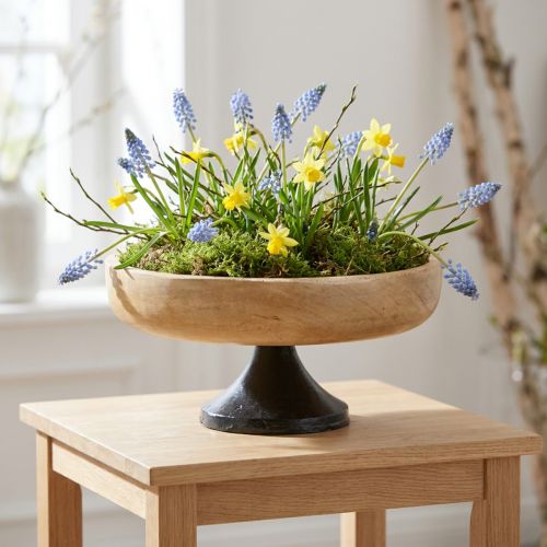 Dubuo su kojele, medinis ir metalinis, natūralios juodos spalvos, Ø20 cm, aukštis10 cm | Floristik24.lt