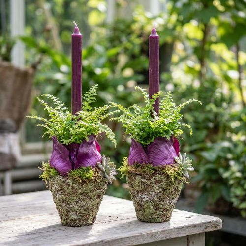 Vazonas su kaimišku miško imitacijos efektu, Ø12,5 cm, aukštis 12 cm, 2 vnt. | Floristik24.lt