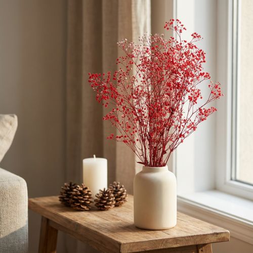 Gypsophila Gypsophila džiovintos gėlės Raudonos 50cm 55g | Floristik24.lt