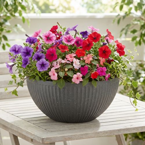 Augalų vazonas, plastikinis, antracito spalvos, Ø35cm, aukštis16.5cm | Floristik24.lt