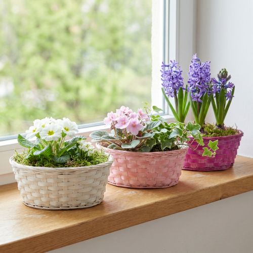 Skiedrų krepšelis apvalus violetinis/baltas/rožinis Ø25cm 6 vnt | Floristik24.lt
