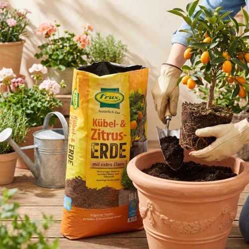 FRUX vazoninis dirvožemis ir citrusinių augalų dirvožemis, 18 l | Floristik24.lt