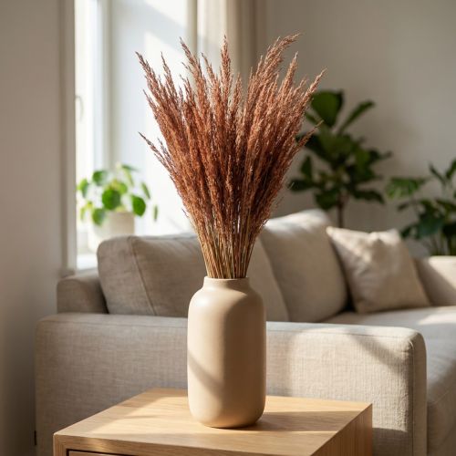 Red Bent Grass Agrostis Dry Grass Red Brown 65cm 80g | Floristik24.lt