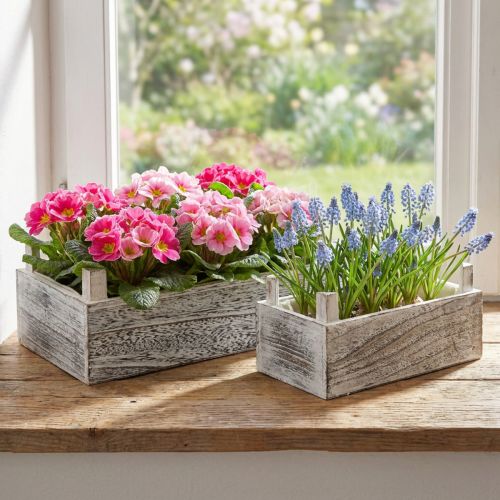 Stačiakampė medinė augalų dėžutė balinta 32x17/25x13cm rinkinys iš 2 vnt | Floristik24.lt