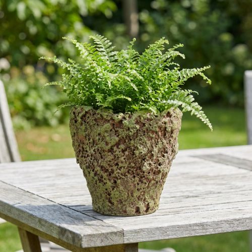Vazonas su samanų imitacija, kaimiškas, Ø17 cm, aukštis 16,5 cm | Floristik24.lt