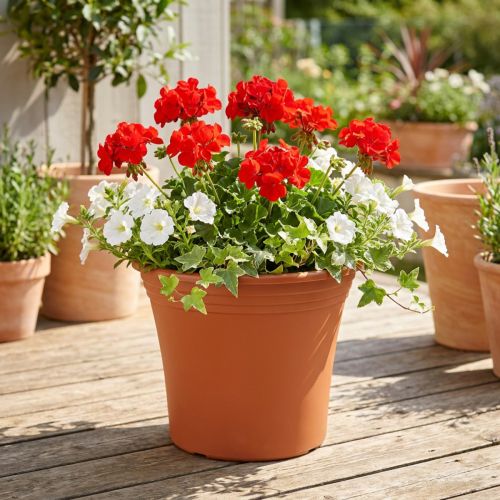 Puodas “Irys” plastikinis terakotinis Ø22cm H18cm 1 vnt | Floristik24.lt
