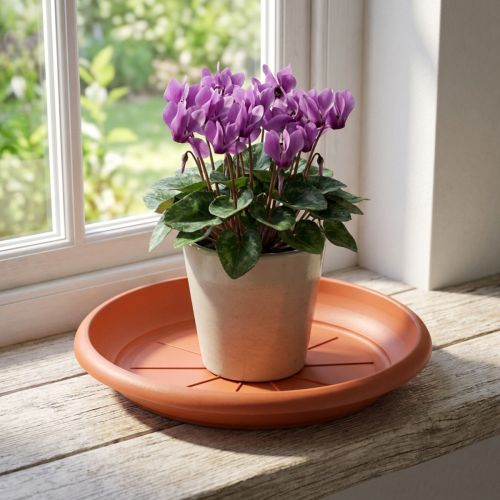 „Linda“ lėkštutė Ø18cm terakota | Floristik24.lt