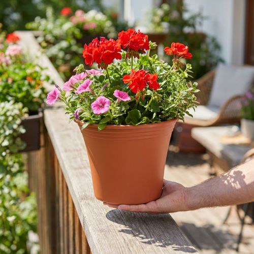 Puodas “Irys” plastikinis terakotinis Ø25cm H21cm, 1 vnt | Floristik24.lt