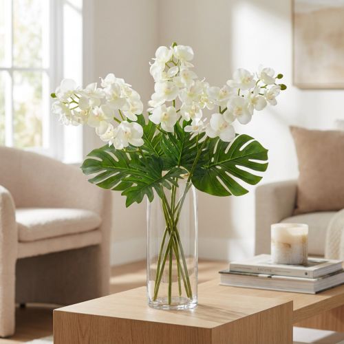 Orchid Cream-White L57cm 6 vnt | Floristik24.lt