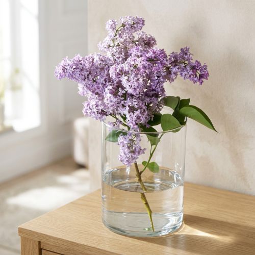 Stiklinė vaza skaidri cilindrinė Ø12cm H20cm | Floristik24.lt