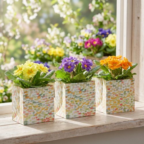 Dovanų maišelis augalinis maišelis dovanų maišelis raštuotas 12cm 8 vnt | Floristik24.lt