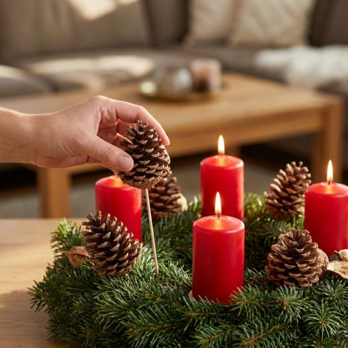 Maritima pušies kankorėžiai, natūralūs, 5-10 cm ant pagaliuko, 50 vnt. | Floristik24.lt