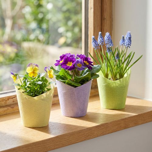 daiktų Vazonas augalams austas popierius žalia geltona violetinė Ø9cm H18cm 9 vnt