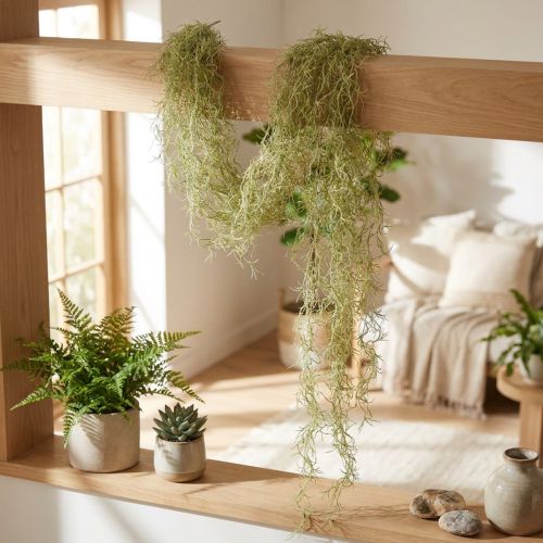 Tillandsia dekoratyvinis pakabinamas Tillandsia dirbtinis žalias baltas 180cm | Floristik24.lt