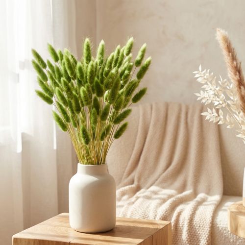 daiktų Triušio uodegos žolė dekoratyvinė žolė Lagurus alyvuogių žalia L65cm 50g