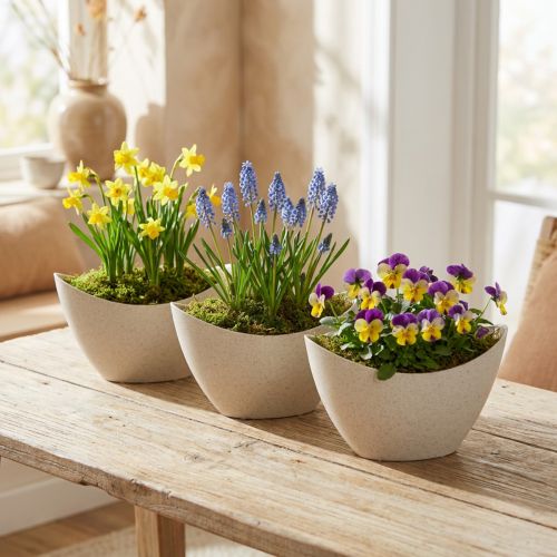 Augalinės valties dekoratyvinis dubuo plastikinis smėlio spalvos 20×9cm A12cm 3vnt | Floristik24.lt