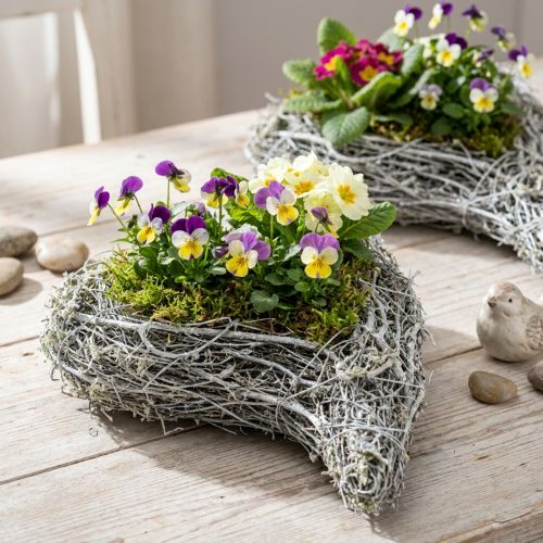 Dekoratyvinis vynmedžio širdies formos vazonas, baltas, kūrybinga sodinimo idėja namams ir dovanai, plastikinė plėvelė, 4 vnt. rinkinys, 15 cm x 23 cm x 5 cm | Floristik24.lt