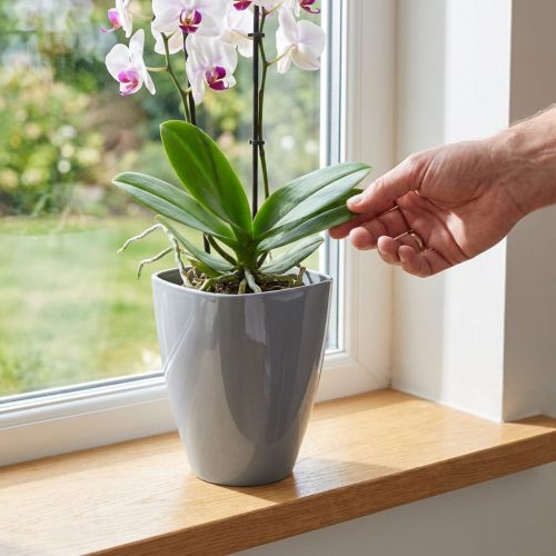 Orchidėjų vazonas blizgus Ø12,5cm pilkas 1 vnt | Floristik24.lt