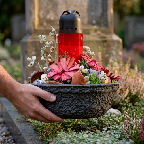Oasis Black Biolit Augalinis dubuo Gėlių dubuo Juodas Ø26cm | Floristik24.lt
