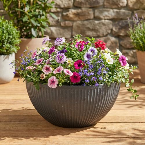Augalų vazonas-dubuo, plastikinis, antracito spalvos, Ø40 cm, aukštis 18,5 cm | Floristik24.lt