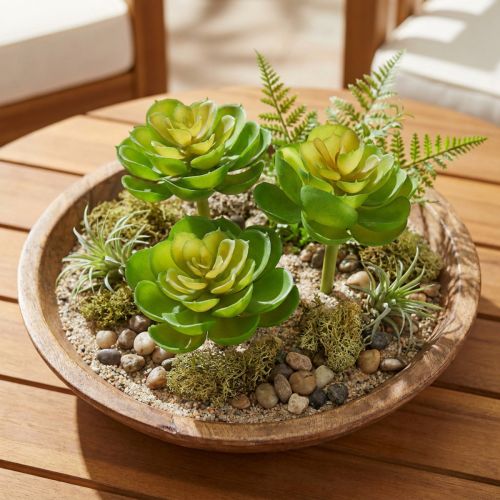 Echeveria dirbtiniai