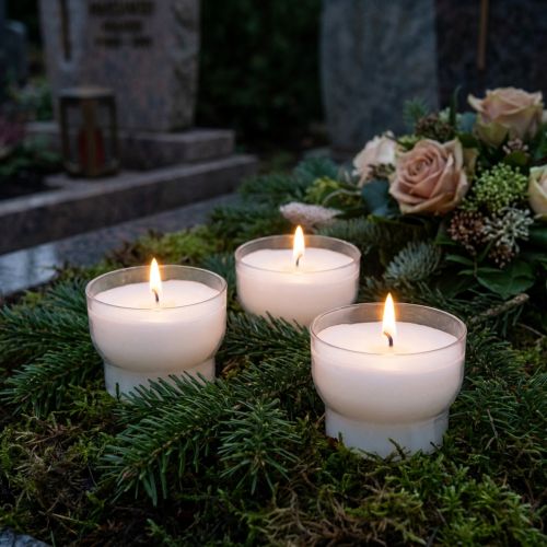 Vovo žvakės baltos spalvos su dubeniu Ø4,3cm 25 vnt | Floristik24.lt