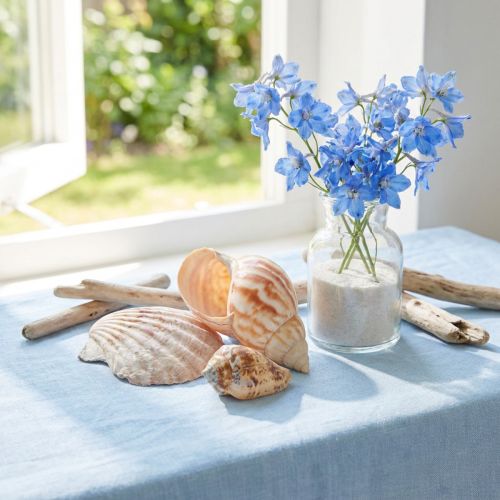 Jūros sraigė natūrali 350g × 3vnt | Floristik24.lt