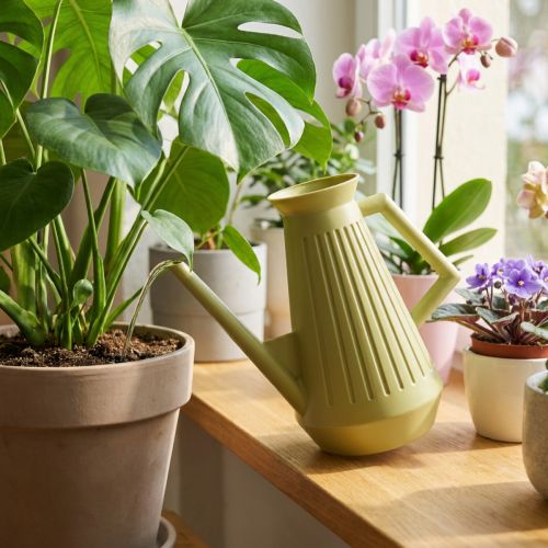 Laistytuvas patalpoms, alyvuogių žalios spalvos, retro stiliaus, 24,5 cm, 1,8 l, dizainerio laistytuvas, plastikinis, augalų laistymui | Floristik24.lt