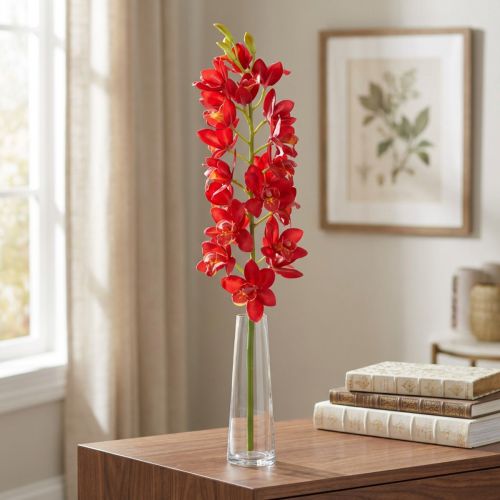 Orchid Cymbidium Red 78cm | Floristik24.lt