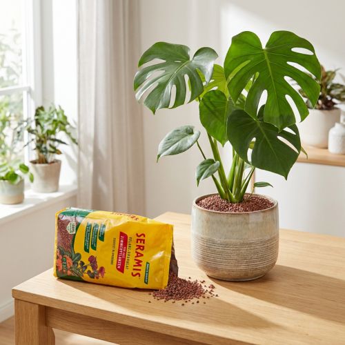 Seramis augalų granulės kambarinėms gėlėms 2,5l | Floristik24.lt