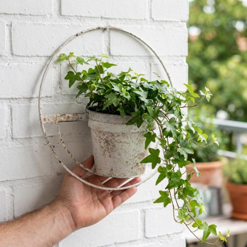 Gėlių vazonas nuskuręs prašmatnus sienų apdaila baltas metalas su pakaba Ø37cm | Floristik24.lt