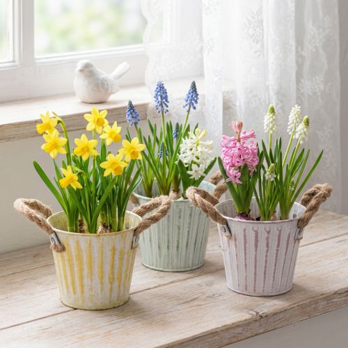 Sodinimo kibiras, metalinis vazonas su rankenomis, dekoratyvinis vazonas, rožinės/žalios/geltonos spalvos, „shabby chic“, Ø12 cm, aukštis10 cm, 3 vnt. rinkinys | Floristik24.lt