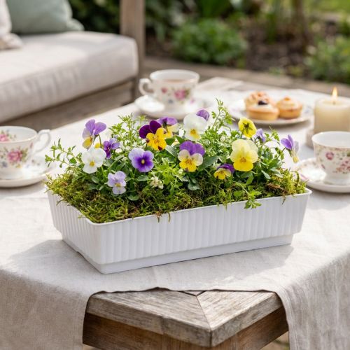 Lizdas Lara 15cm x 8cm x 4cm 10vnt | Floristik24.lt
