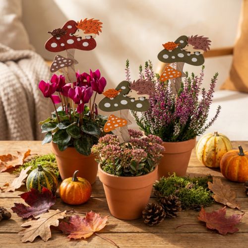 Gėlių lazdelė musmirė Dekoracija Ežiukui Rudens dekoracija 8cm 12 vnt | Floristik24.lt