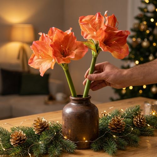 daiktų Amarilio dekoratyvinės gėlės oranžinės spalvos dirbtinės L55cm 2vnt