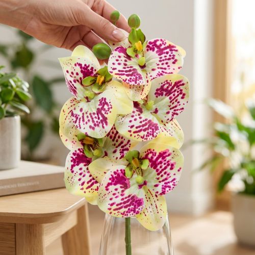 Dirbtinė orchidėjos šakelė Phaelaenopsis Green Pink H49cm | Floristik24.lt