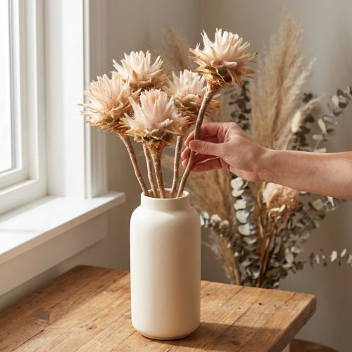 Leucospermum Plumosum Silver Tree Blossoms Light 25 vnt | Floristik24.lt