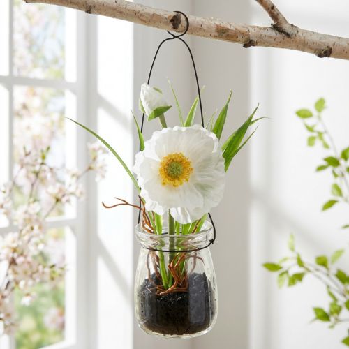 Aguonos stiklinėje pakabinti baltas H22cm | Floristik24.lt