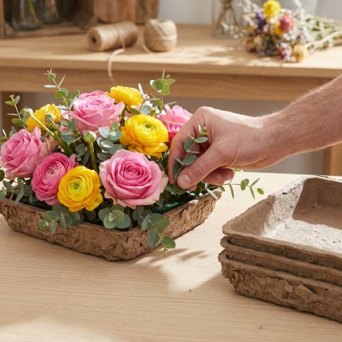 „Oasis Biolit Basic“ gėlių putplasčio 13 x 13 x 2 cm 12 dalių rinkinys, „pasidaryk pats“ gėlių dekoracijų rinkinys | Floristik24.lt