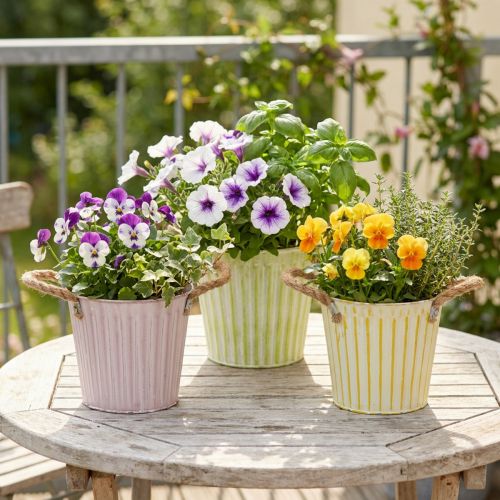 Kibiras sodinimui, vazonas su rankenomis, metalinė dekoracija, rožinė/žalia/geltona, shabby chic, Ø16,5 cm, aukštis 15 cm, 3 dalių rinkinys | Floristik24.lt