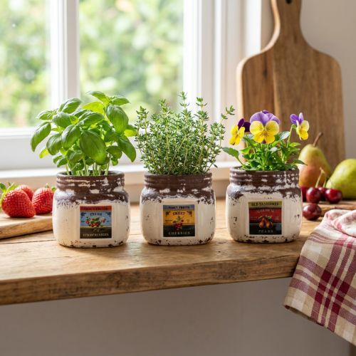 Cachepot keramikos virtuvės dekoravimo uogienės puodas 7×7,5cm 3vnt | Floristik24.lt