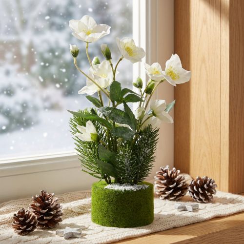 Kalėdinė rožė su egle ir samanų kamuoliuku, dirbtinė, baltai apsnigta, 33 cm | Floristik24.lt
