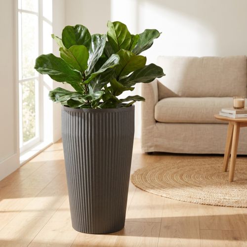 Grindų vaza, antracito spalvos, plastikinis vazonas, Ø28cm, aukštis 46.5cm | Floristik24.lt
