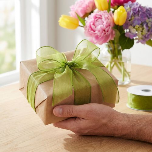 daiktų Šifoninė juostelė organzos juostelė dekoratyvinė juostelė organza žalia 25mm 20m