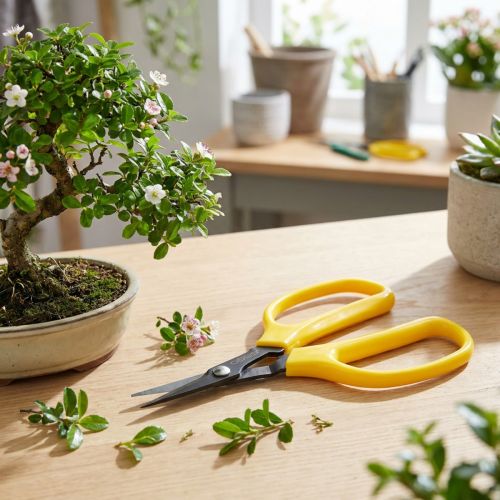 daiktų Oasis bonsai ir pincer žirklės 15,5 cm