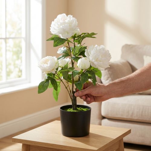 Dirbtinė Paeonia, bijūnas vazonėlyje, dekoratyvinis augalas balti žiedai H57cm | Floristik24.lt