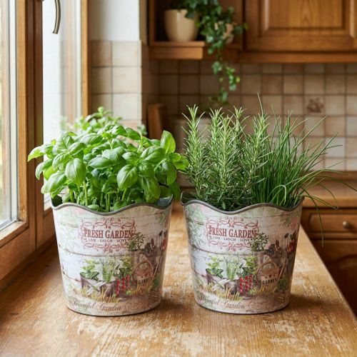daiktų Vazonas su žolelėmis vazonas plastikinis Fresh Garden H13,5cm 2vnt